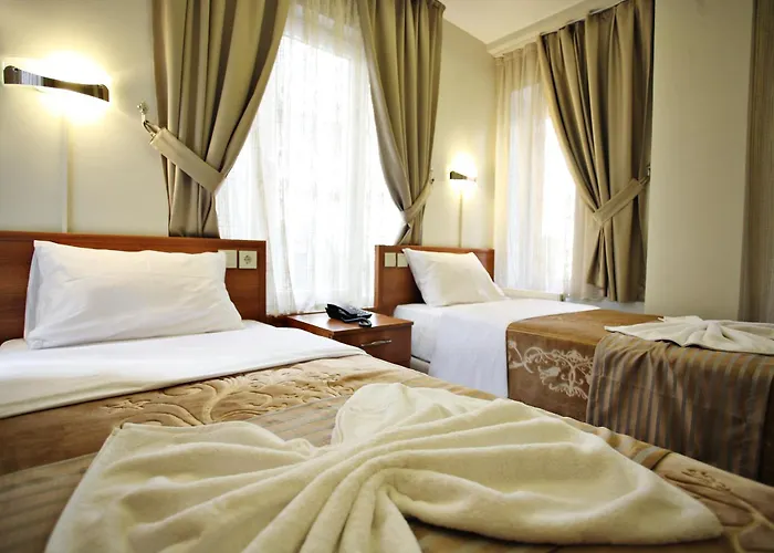 Hotel Taksim Palace Stambuł