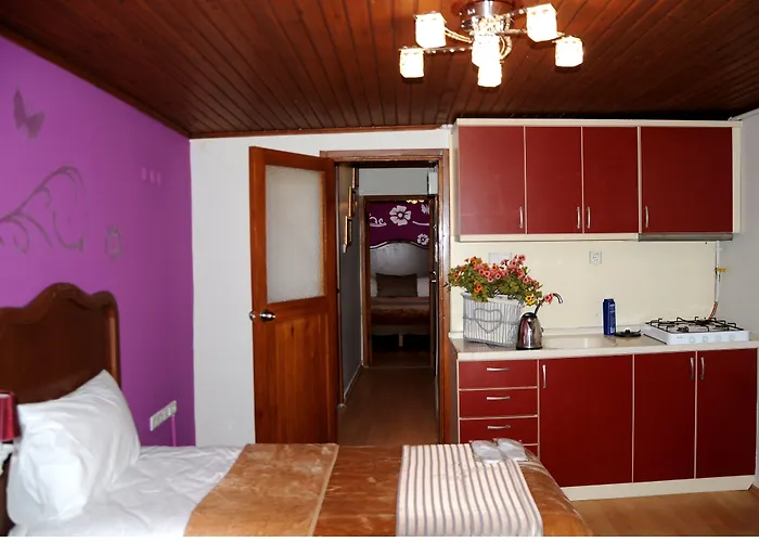 Taksim Palace Stambuł