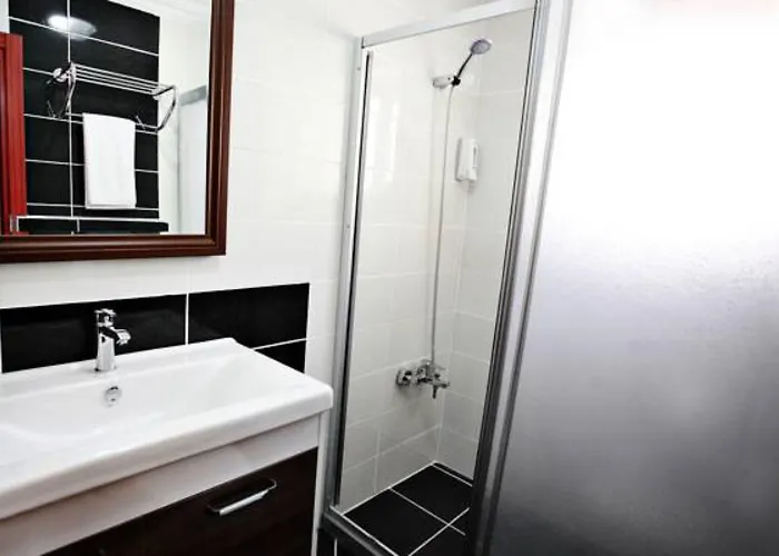 Hotel Taksim Palace Stambuł