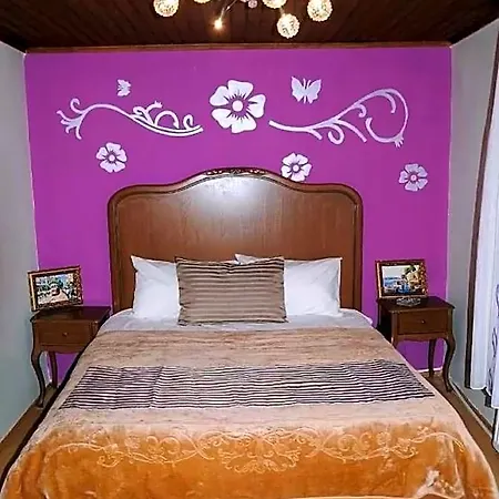 Taksim Palace