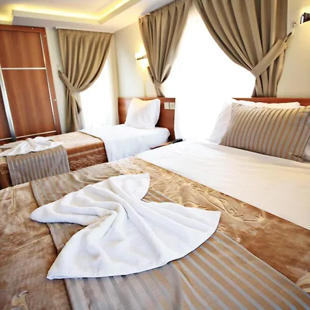 Taksim Palace ホテル イスタンブール