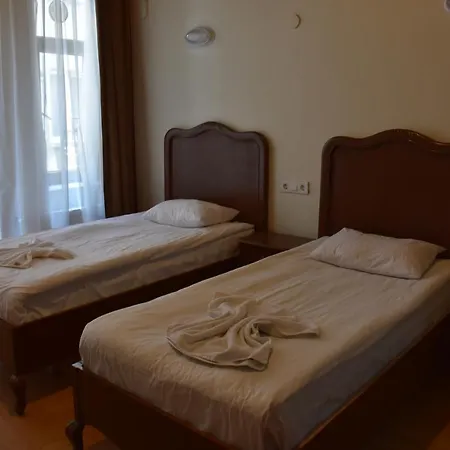 Taksim Palace 3* イスタンブール